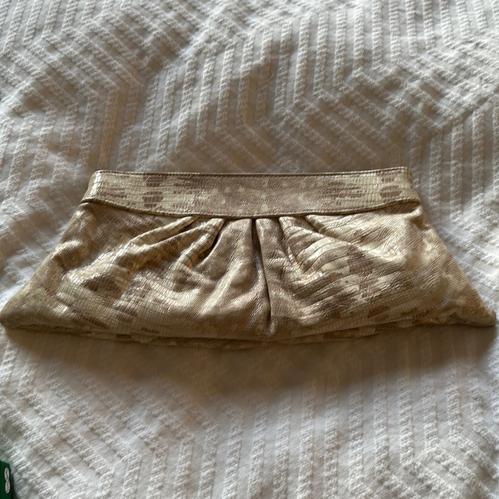 Excellent condition Lauren merkin clutch